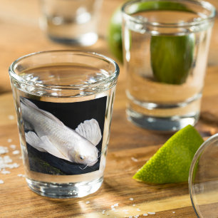 Vaso De Chupito Foto de Koi Mariposa Blanca