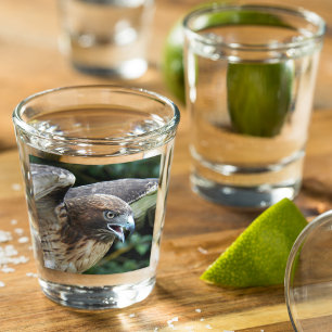 Vaso De Chupito Foto de rapero hawaiano de cola roja