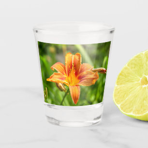 Vaso De Chupito Foto de una flor de Lily grande