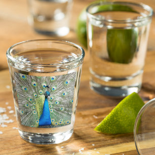 Vaso De Chupito Foto del plumaje de plumas de pavo real azul