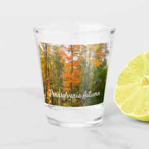 Vaso De Chupito Fotografía de la naturaleza otoñal en árboles de a