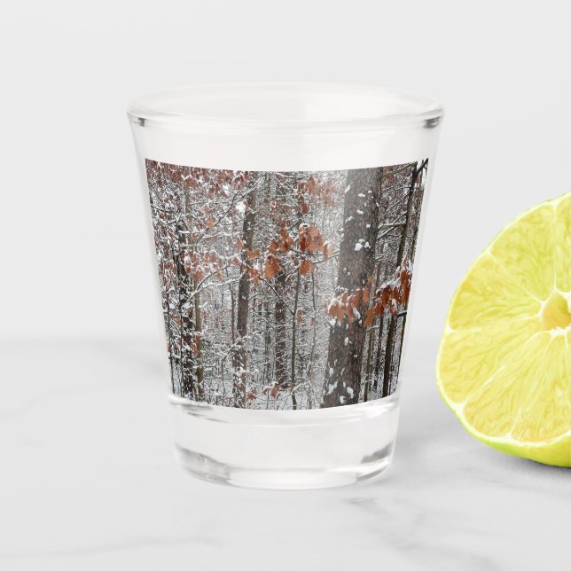 Vaso De Chupito Fotografía de naturaleza invernal de robles cubier (Anverso)