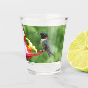 Vaso De Chupito Fotografía de pájaro húmedo con trompetas de rubí