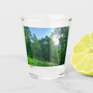 Vaso De Chupito Fotografía del paisaje de los bosques verdes