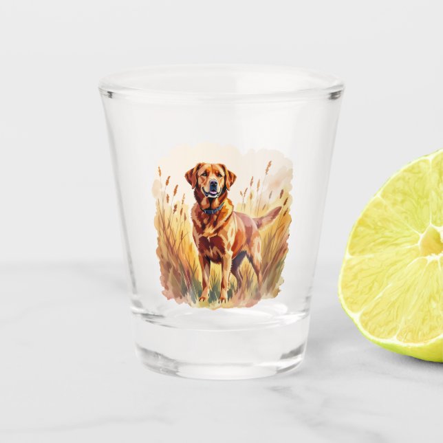 Vaso De Chupito Fox Red Labrador Retriever Dog (Anverso)