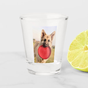 Vaso De Chupito Frisbee