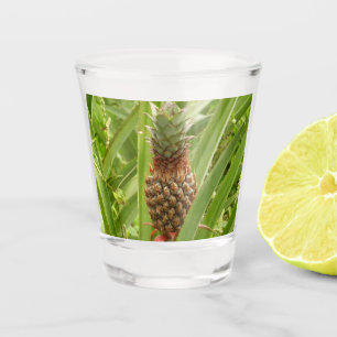 Vaso De Chupito Fruta tropical de la piña silvestre en la naturale