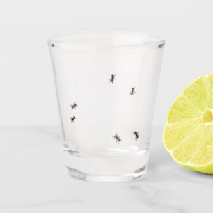 Vaso De Chupito Funny Bug Ant Crawling Fiesta