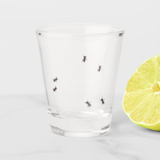 Vaso De Chupito Funny Bug Ant Crawling Fiesta (Anverso)