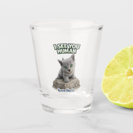 Vaso De Chupito Funny Cat Shot Glass – I See You Human