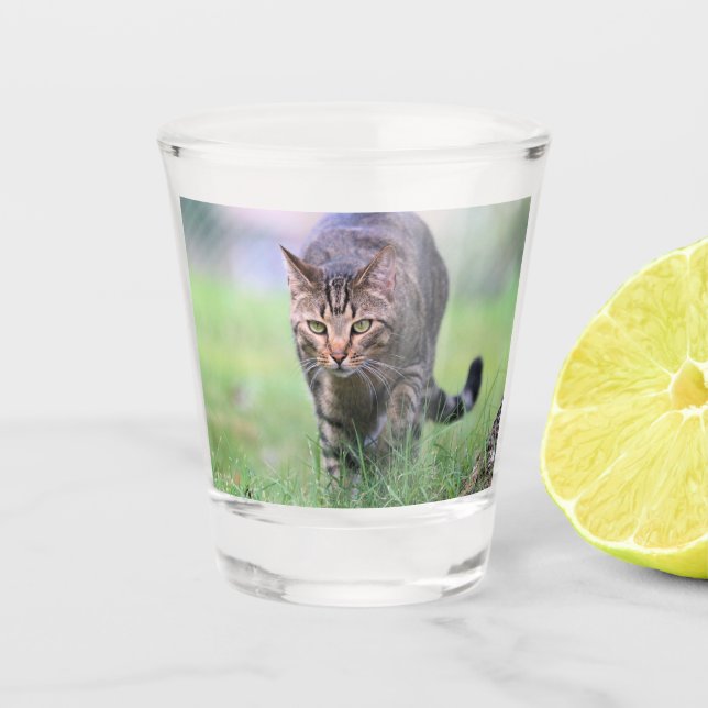 Vaso De Chupito Gabe (Anverso)