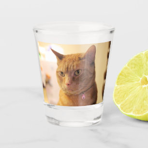 Vaso De Chupito Gato
