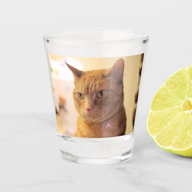 Vaso De Chupito Gato (Anverso)