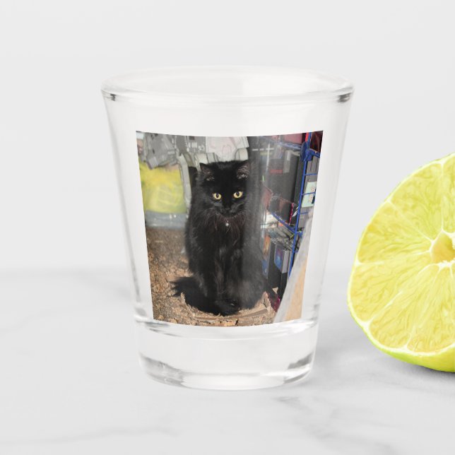 Vaso De Chupito Gato (Anverso)