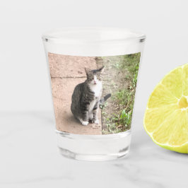 Vaso De Chupito Gato