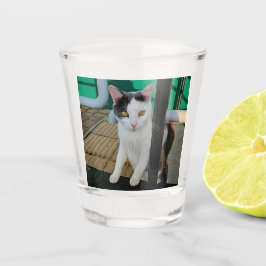 Vaso De Chupito Gato negro y blanco