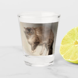 Vaso De Chupito Gato Shot Glass