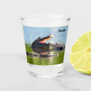 Vaso De Chupito Gator Fiesta de Florida Shot Glass (Fácil Persona