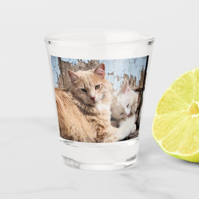 Vaso De Chupito Gatos (Anverso)