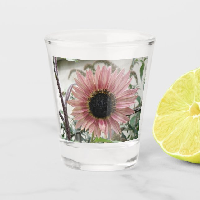 Vaso De Chupito Girasol rosa pálido (Anverso)