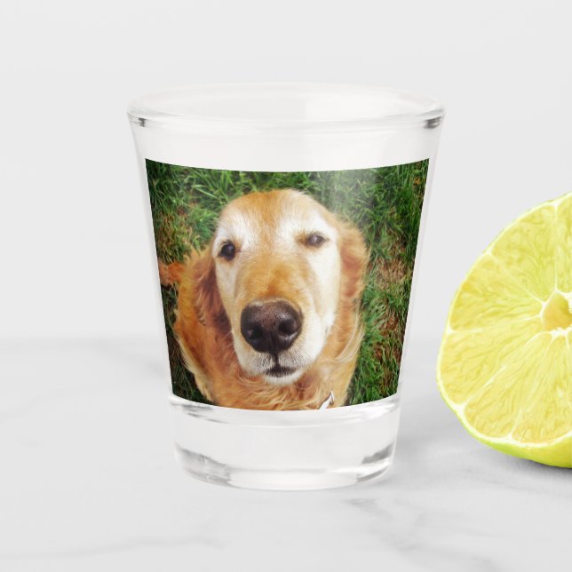 Vaso De Chupito Golden Retriever (Anverso)