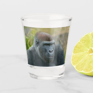 Vaso De Chupito Gorila de Regal Blackback