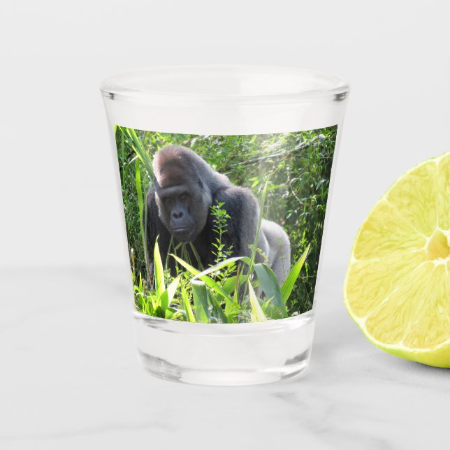 Vaso De Chupito Gorila de Silverback (Anverso)