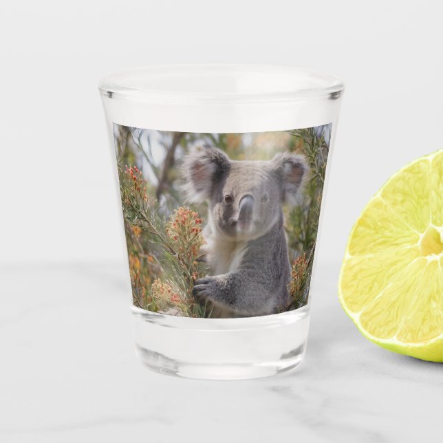 Vaso De Chupito Grevillea Koala Bear, (Anverso)