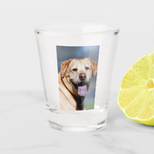 Vaso De Chupito Grin