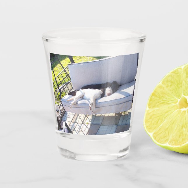 Vaso De Chupito grupo de laboratorio durmiendo (Anverso)