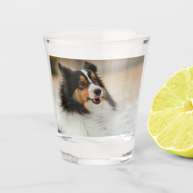 Vaso De Chupito Happy Shelty (Anverso)