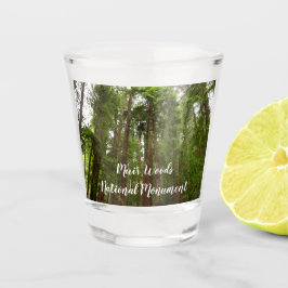 Vaso De Chupito Hasta secuoyas en el Monumento Nacional Muir Woods