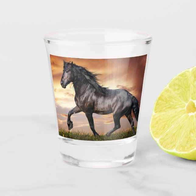 Vaso De Chupito Hermoso caballo negro (Anverso)