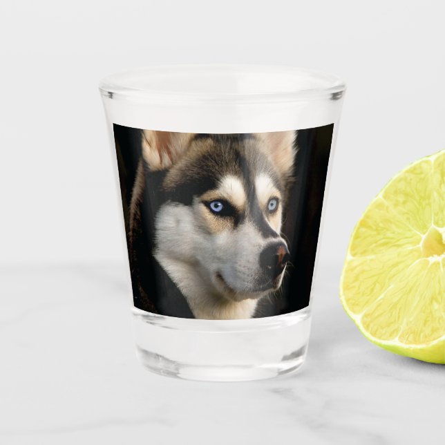 Vaso De Chupito Hermoso Cojín decorativo Husky (Anverso)