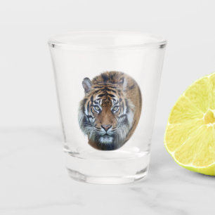 Vaso De Chupito Hermoso Tigre de Bengala. Foto de vidrio caliente.