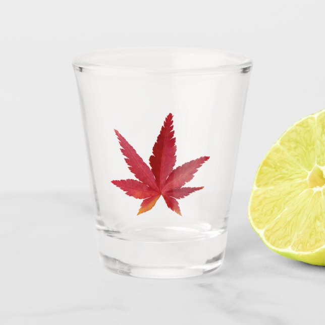 Vaso De Chupito Hoja de otoño de singulares rojos (Anverso)