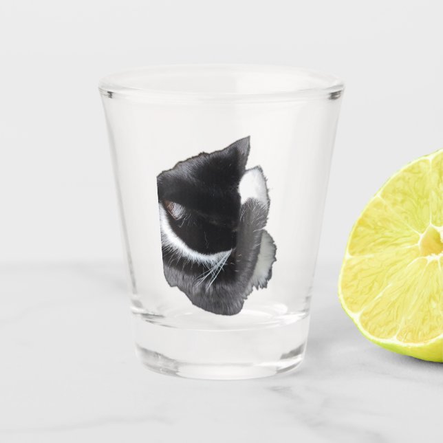 Vaso De Chupito I Can't Even Right Meow (Anverso)