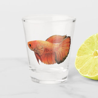 Vaso De Chupito Ilustración de betta macho naranja