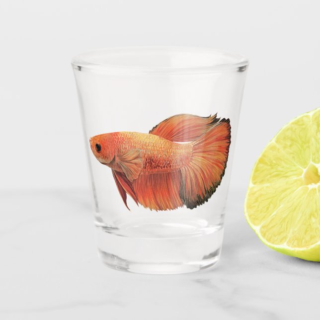 Vaso De Chupito Ilustración de betta macho naranja (Anverso)