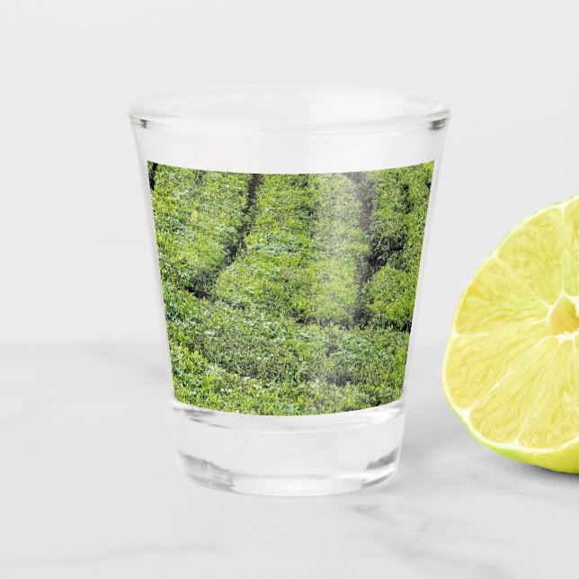 Vaso De Chupito Jardines de té de Munnar en  (Anverso)