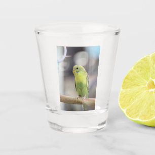 Vaso De Chupito Kiwi Burbell