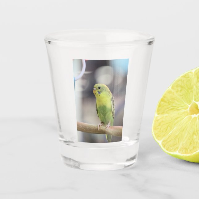 Vaso De Chupito Kiwi Burbell (Anverso)