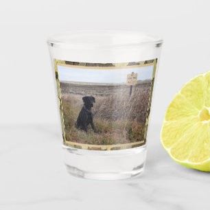 Vaso De Chupito Laboratorio Negro Cazando Perro Con Trim De Camo
