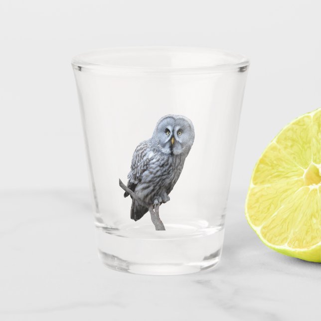 Vaso De Chupito Lechuza gris grande (Anverso)