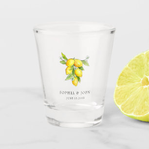 Vaso De Chupito Lemones de acuarela italianos de época