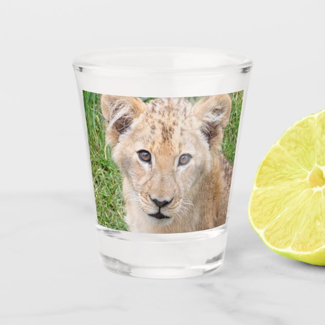 Vaso De Chupito León 016 (Anverso)