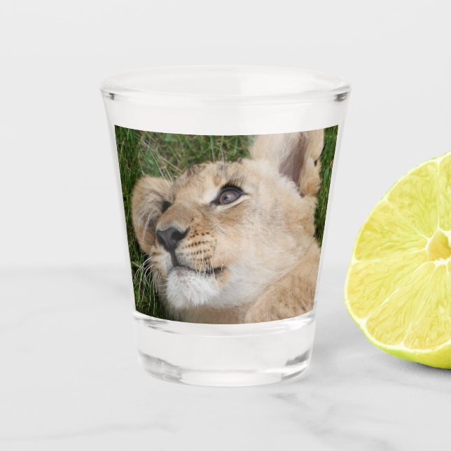 Vaso De Chupito León 022 (Anverso)