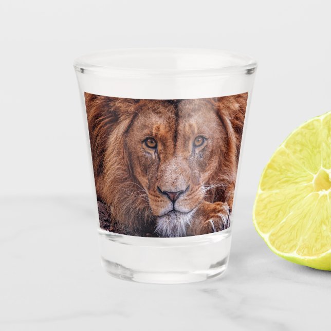Vaso De Chupito León africano (Anverso)