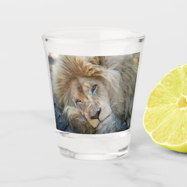 Vaso De Chupito León que descansa (Anverso)