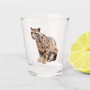 Vaso De Chupito leopardo nublado fotografía selva gran gato animal